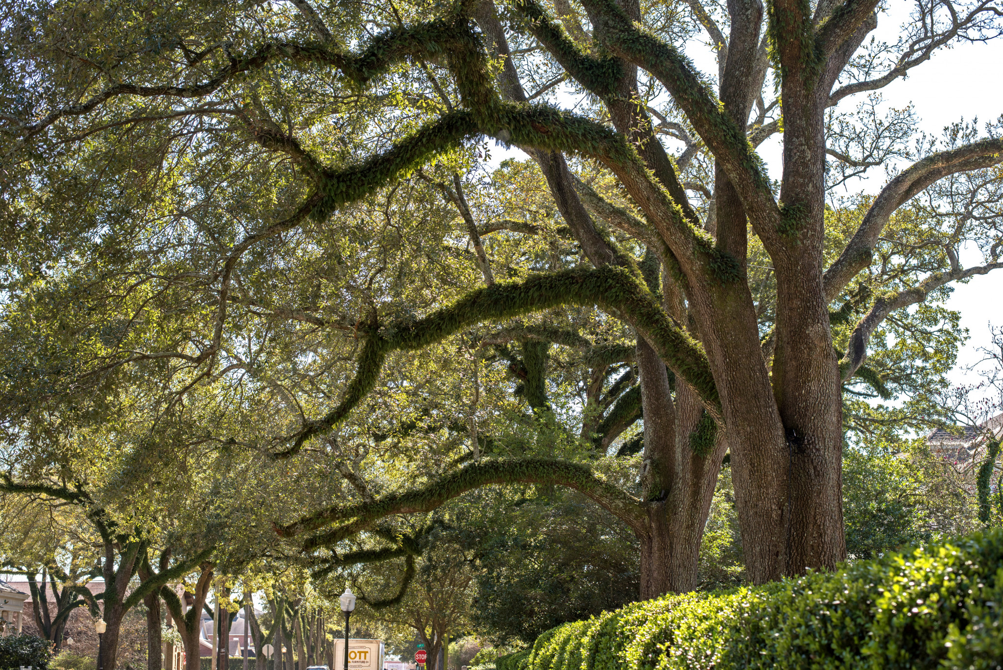 Wonderful Things To Do In Laurel MS Somewhere Down South