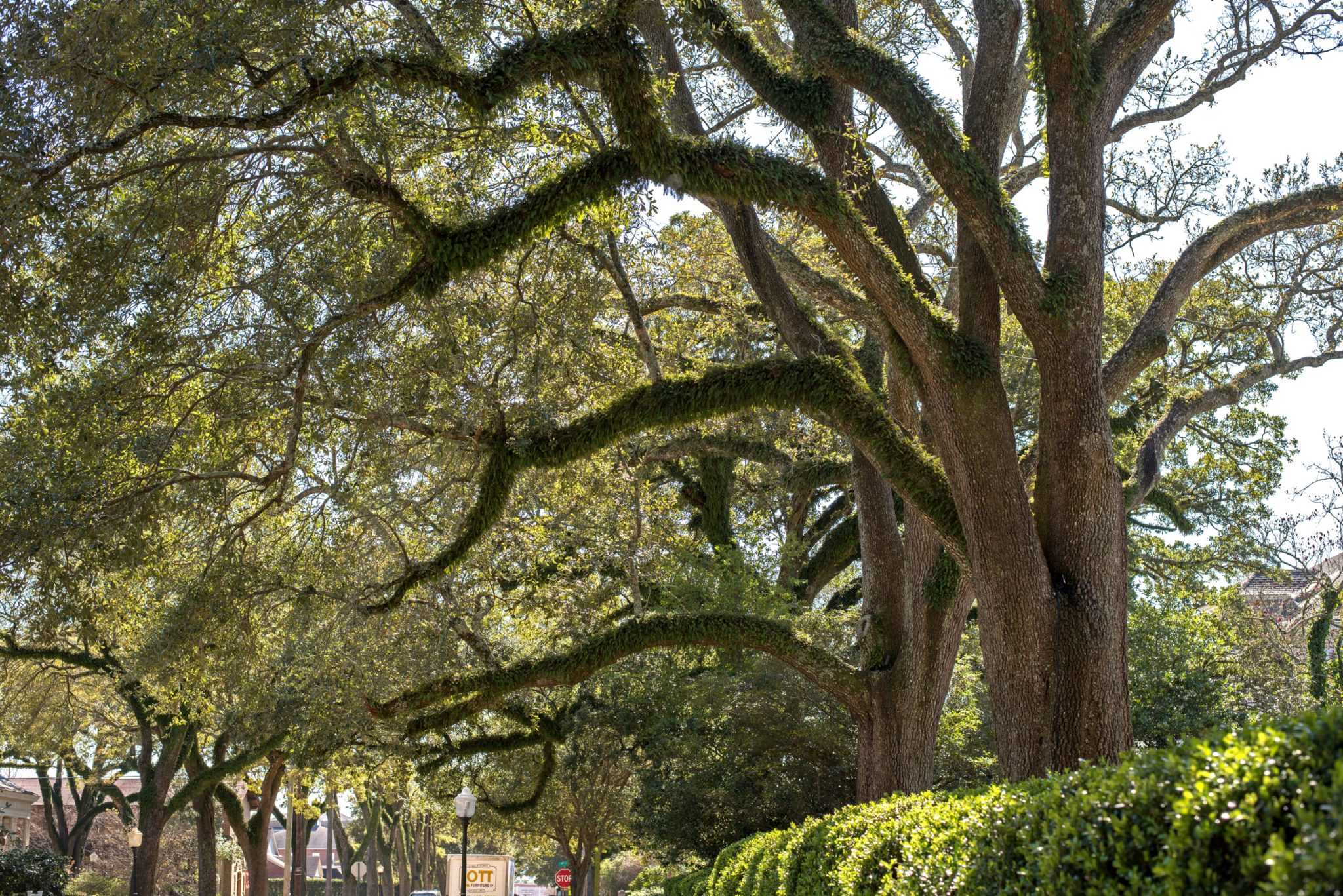 Wonderful Things To Do In Laurel MS Somewhere Down South