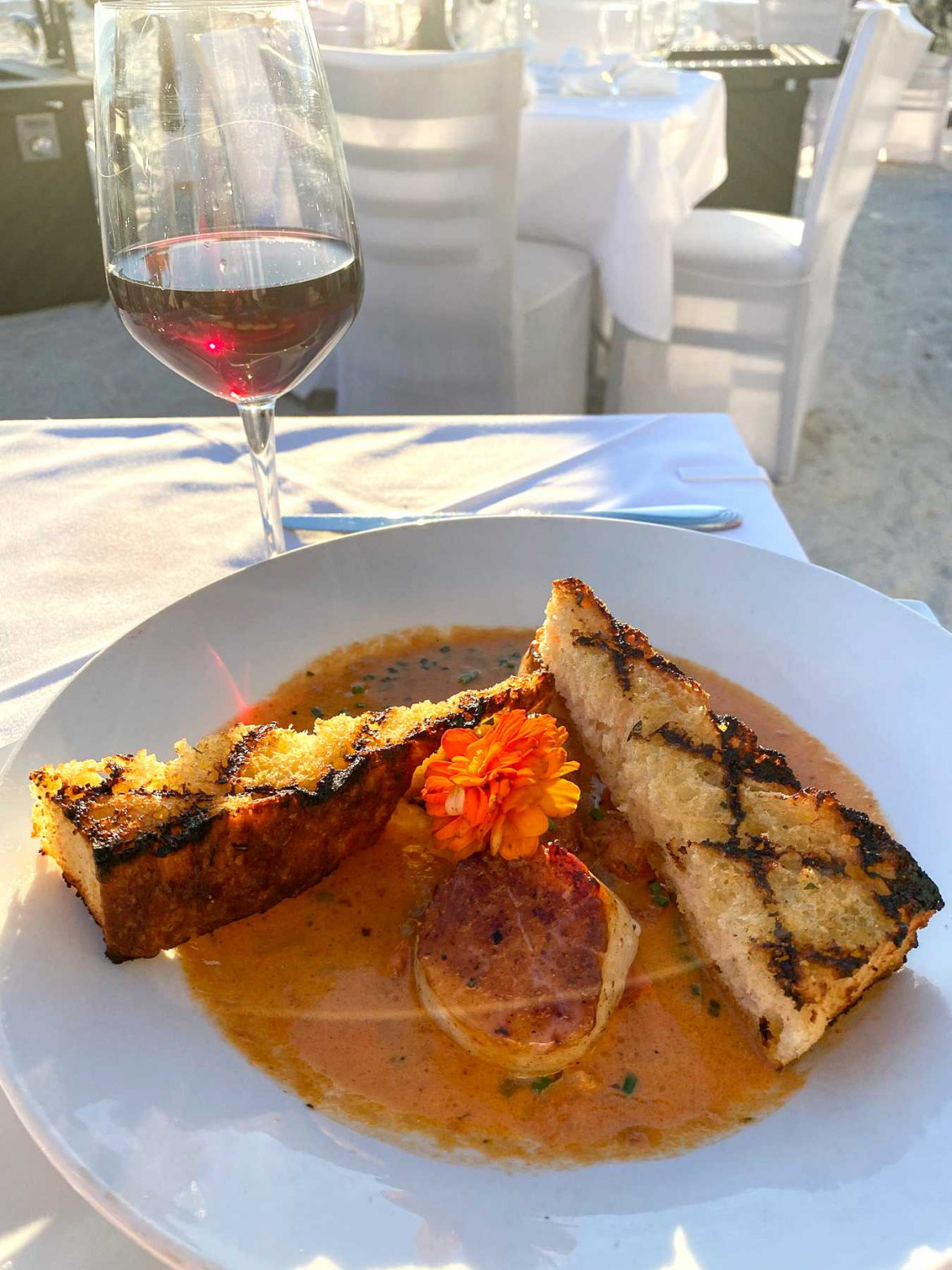 10 of the BEST Restaurants on Anna Maria Island - Somewhere Down South