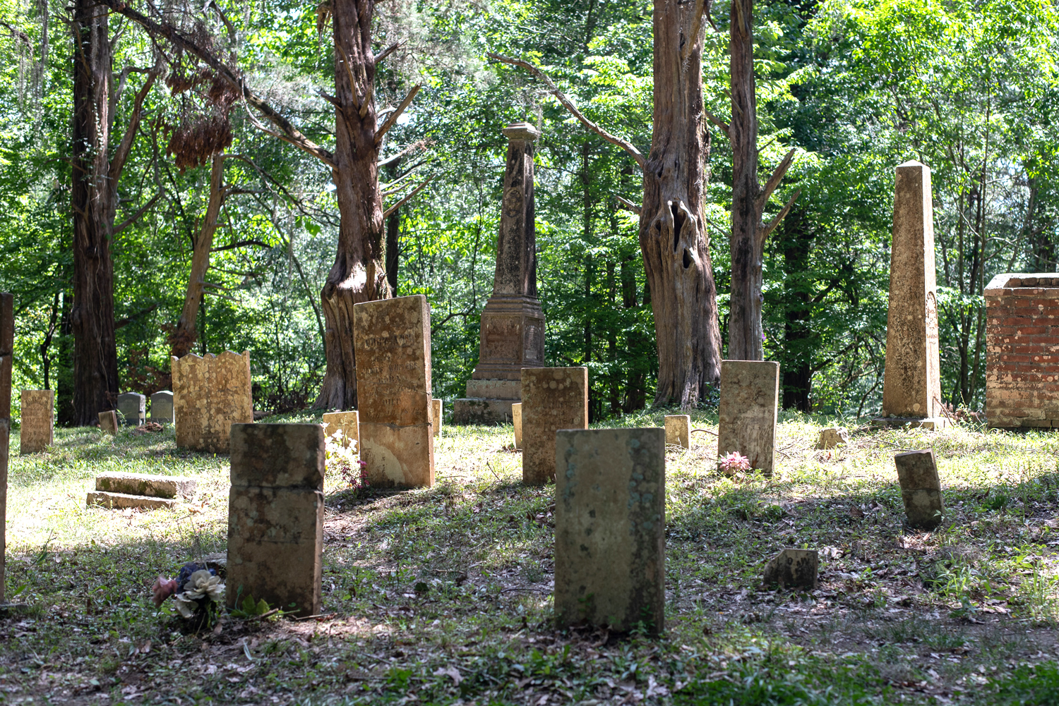 30 Great Stops on the Natchez Trace Parkway
